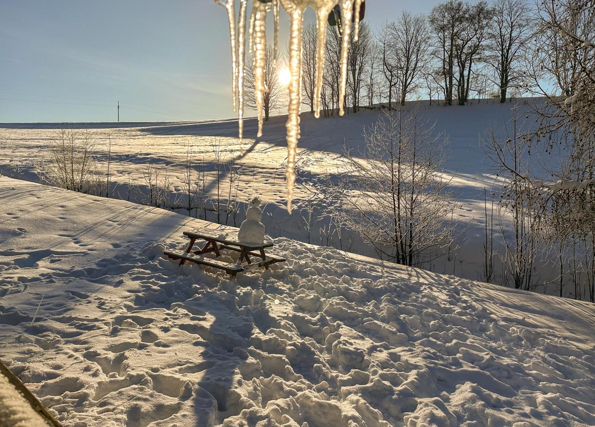 Ctyricitka Na Stastnem Kopci Villa Černý Dŭl Exteriör bild